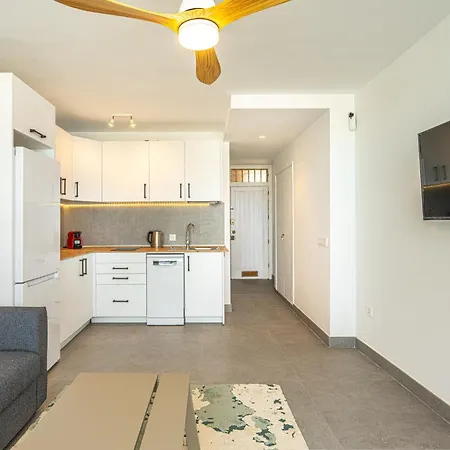 Lejlighed Modern Renovated With Terrace In Playa De Americas *